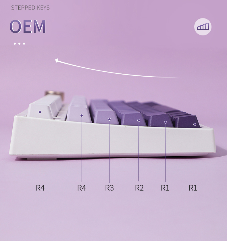 Copritasti con sfumatura viola - Keycaps Oem Profile 87 Keys recensione e prezzo