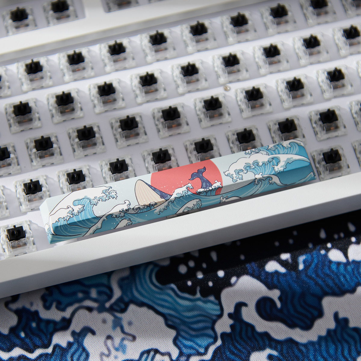 4 pezzi di copritasti Coral Se - Keycaps Spacebar 6.25U Custom recensione e prezzo