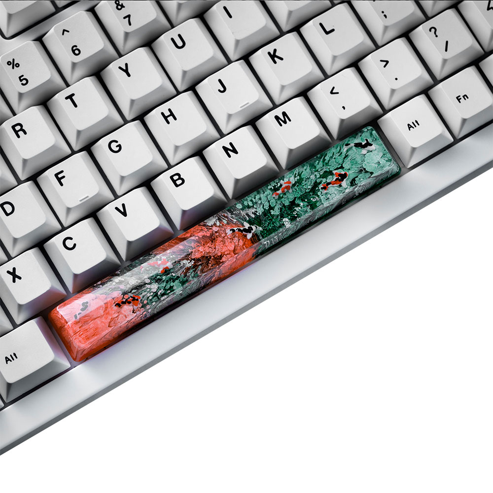 Tastiera meccanica 6.25X Copri - Keycaps Spacebar 6.25U Custom recensione e prezzo