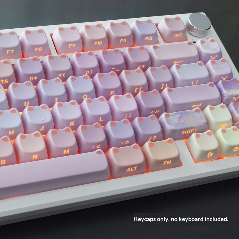 Set di Tasti PBT Retroillumina - Keycaps Spacebar 6.25U Custom recensione e prezzo