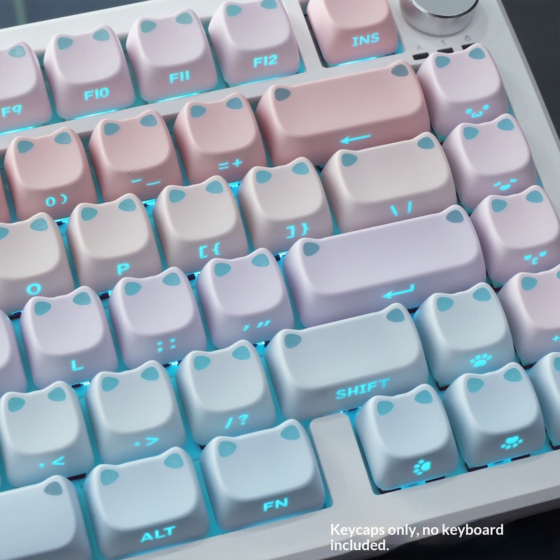Set di Tasti PBT Retroillumina - Keycaps Spacebar 6.25U Custom recensione e prezzo